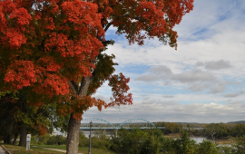 fall color along the Missouri River in Leavenworth