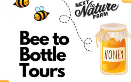 Bee-to-Bottle Tours